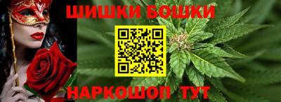 МДПВ Славгород